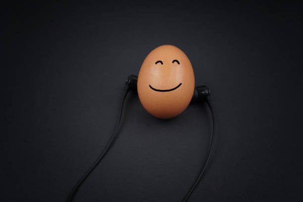 happy egg - chicken egg audio imagens e fotografias de stock