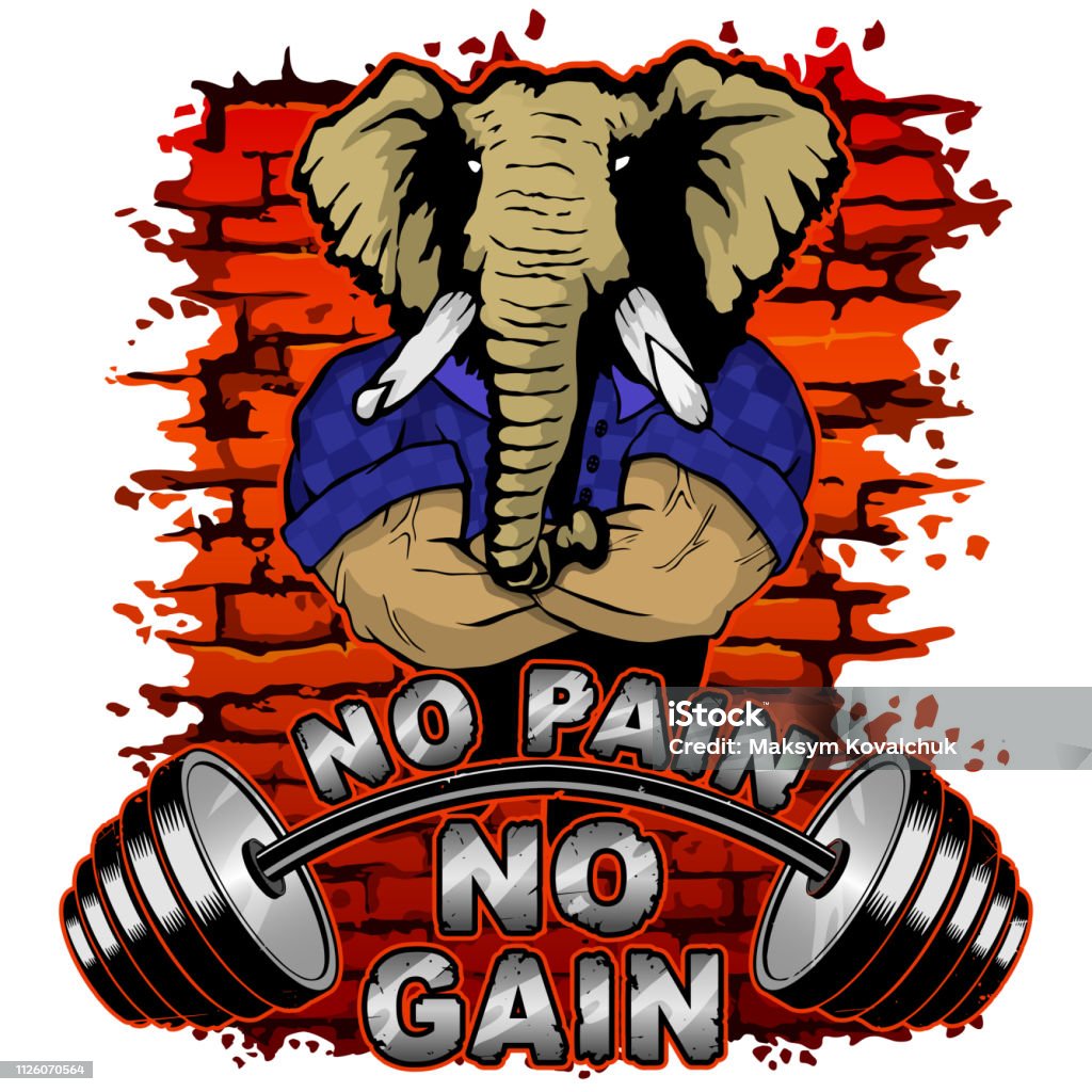 Vector Illustration Of A Barbell And A Strong Elephant On A Brick Wall  Background No Pain No Gain Stock Illustration - Download Image Now - iStock