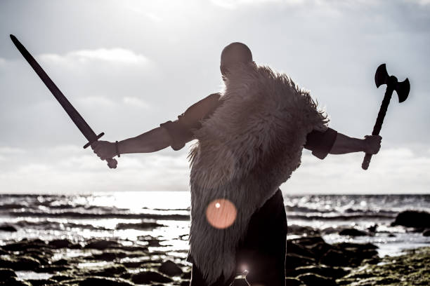 un singolo guerriero vichingo su una spiaggia sul bordo dell'acqua - dutch culture netherlands history historical reenactment foto e immagini stock