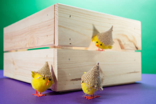 Chicks and box on green background.
