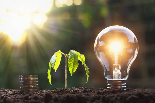 istock lightbulb with young plant and coin stack on soil. concept saving energy and money 1126073619