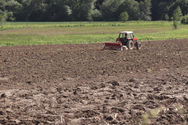 A farmer on a red tractor with a seeder sows grain in plowed land in a private field in the village area. Mechanization of spring field work. Farmer's everyday life. Processing of land. The agrarian. A farmer on a red tractor with a seeder sows grain in plowed land in a private field in the village area. Mechanization of spring field work. Farmer's everyday life. Processing of land. The agrarian lawn seeder stock pictures, royalty-free photos & images