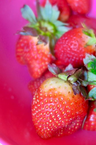 Fresh red strawberries, strawberry fruit, with green stalks, against a pink background.