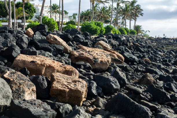 istock Stones opening during the low tide. Beach in Costa Teguise. 1126076512