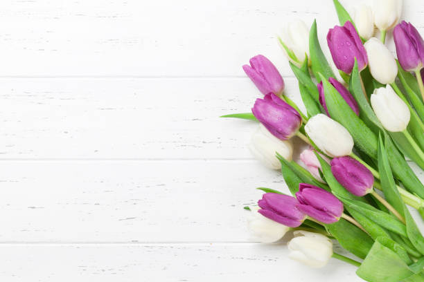 istock Colorful tulips flower bouquet 1126079713
