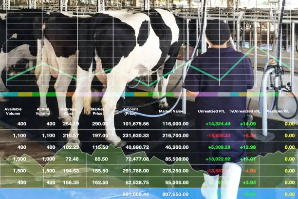 Stock financial index data background shown successful of investment  on equipment and technology produces milking cows business and food agriculture industrial with graph and chart.