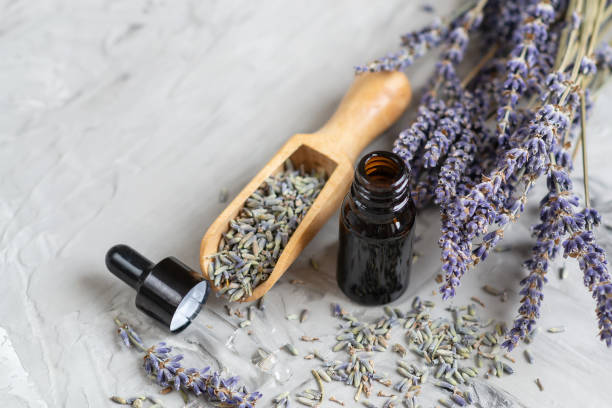 istock SPA Aroma Concept, Lavender Organic Oil 1126086715