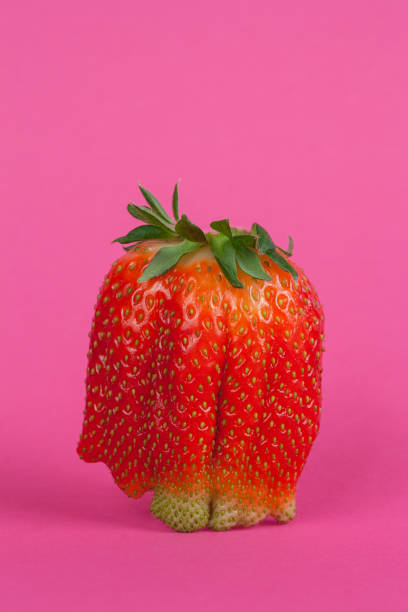 istock Strawberries isolated on a pink background, close up view 1126086901