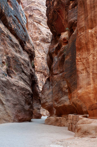 istock The Siq in Petra, Jordan 1126088467