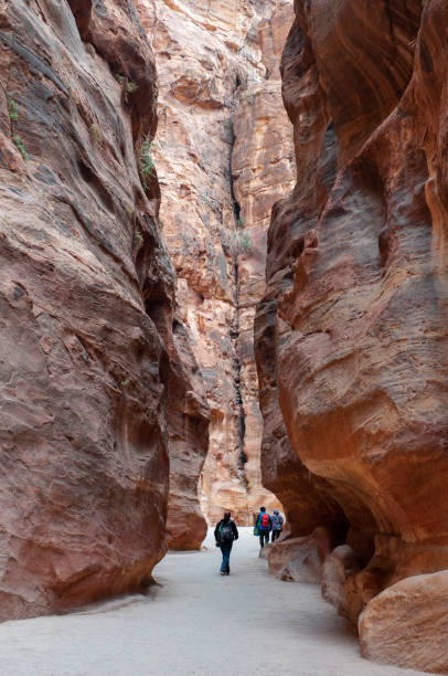 istock The Siq in Petra, Jordan 1126088470
