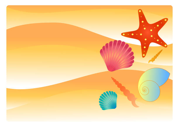 illustrazioni stock, clip art, cartoni animati e icone di tendenza di sabbia da spiaggia con conchiglie e stelle marine. illustrazione concetto estivo - krung