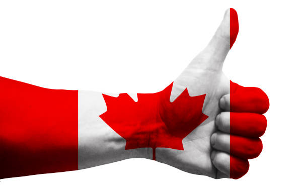 istock Canada Fan, Hand Painted with Canadian Flag Colors 1126093162