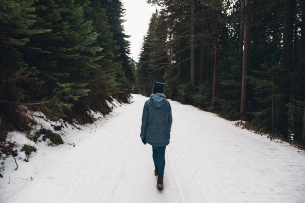 istock Back view woman walking in a winter forest 1126093500
