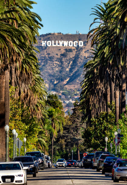 hollywood sign da central la - los angeles county city of los angeles palm tree travel destinations foto e immagini stock