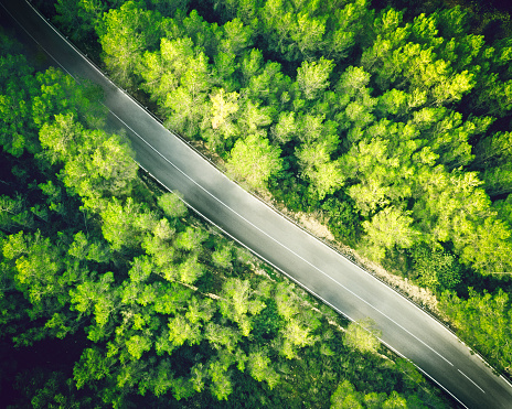 Aerial view from a drone of a two lane straight road in a beautiful green forest of pine trees in Europe. Horizontal image from RAW drone file shooted in Spain. Sharp focus.