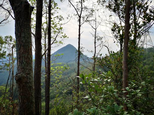 istock Needle Hill, Hong Kong 1126096669