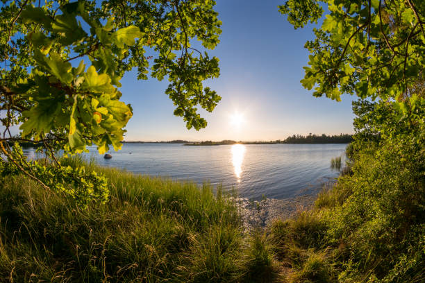 istock Beautiful coastal sunset in Sweden 1126099553