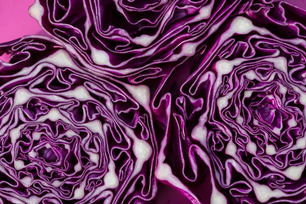 Red Cabbage Space for text red cabbage stock pictures, royalty-free photos & images