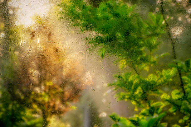 istock Water droplets on a window pane with beautiful defocused scenery outside. 1126107427