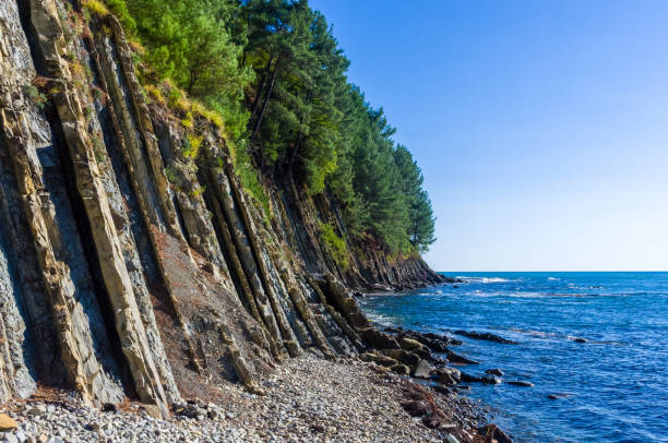 istock rocky sea shore with pebble beach, waves with foam 1126107667