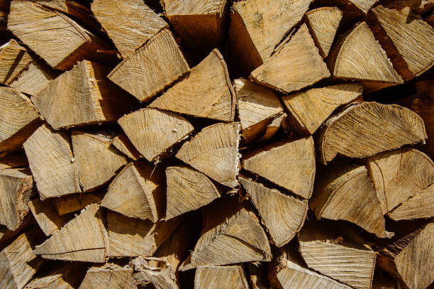 istock Logs of wood 1126107948