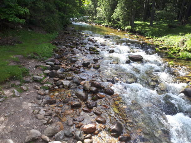 istock Mountain stream with stones covered with moss and green grass. 1126109193