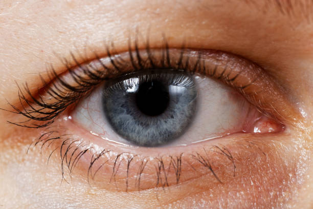 istock Macro image of woman eye 1126109828