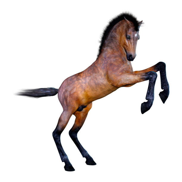 istock 3D illustration bay horse foal on white 1126114119