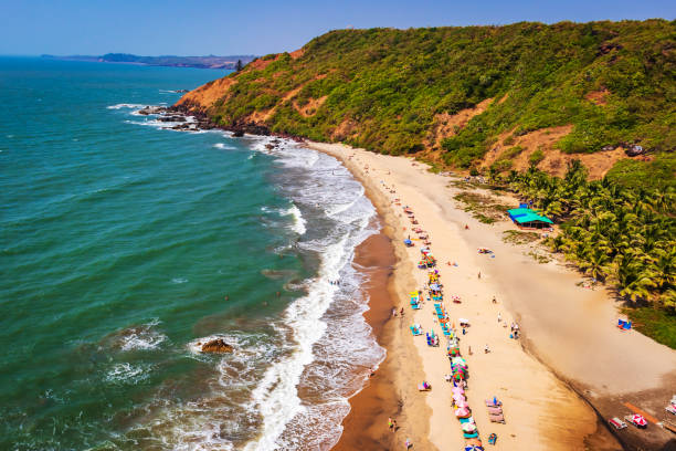 top view of beach in Goa India vagator beach. people taking sunbath on the beach on shacks beaches in north and  south goa India. people taking sunbath beach goa party stock pictures, royalty-free photos & images