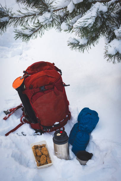 istock Small picnic with coffee and cookies 1126114804