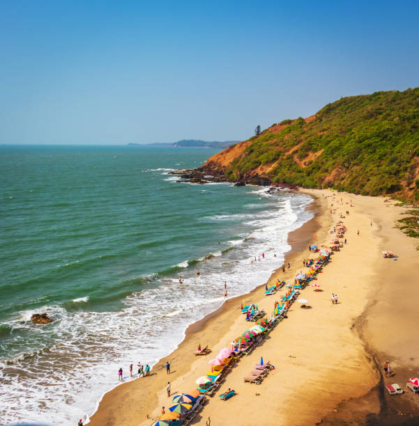 top view of beach in Goa India vagator beach. people taking sunbath on the beach on shacks beaches in north and  south goa India. people taking sunbath goa beach party stock pictures, royalty-free photos & images
