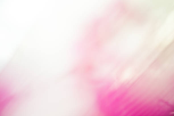 Abstract Rose Quarz Pink Fusia Background