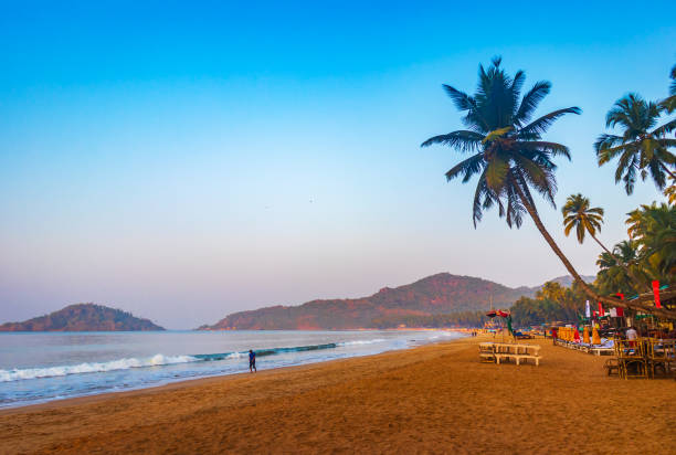 istock beautiful Palolem beach, Goa in india during sunrise. soft sand with water current waves and coconut trees 1126115357