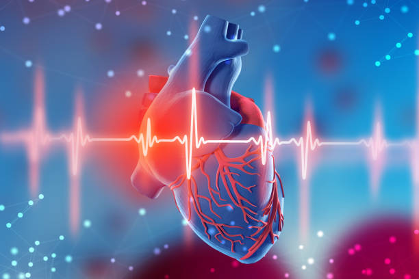 illustrazione 3d del cuore umano e cardiogramma su sfondo blu futuristico. tecnologie digitali in medicina - arresto cardiaco foto e immagini stock