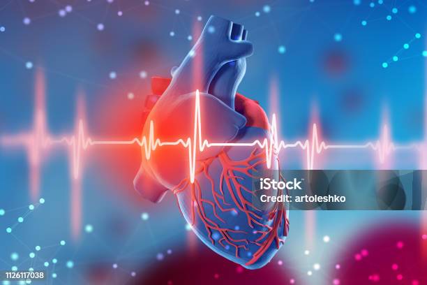 3d Illustration Of Human Heart And Cardiogram On Futuristic Blue Background Digital Technologies In Medicine Stock Photo - Download Image Now