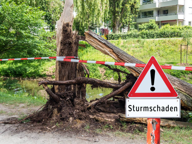 attenzione tedesco "sturmschaden" albero - lightning house storm rain foto e immagini stock