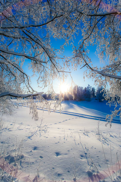 Winter weather