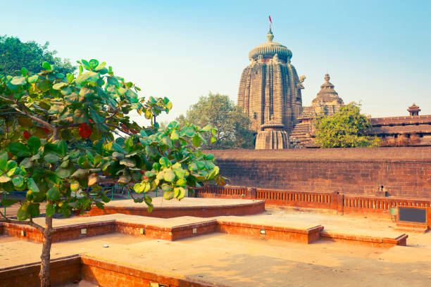 Lingaraj Temple in Bhubaneswar View of Lingaraj Temple - one of the oldest hindu temples of Lord Shiva. Bhubaneswar, Orissa, India bhubaneswar stock pictures, royalty-free photos & images