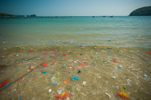 A lot of plastic rubbish at the beach and in the sea water