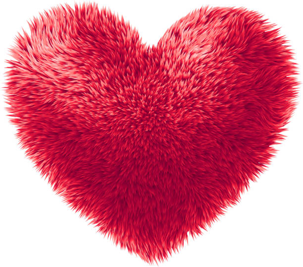 Vector red fur heart isolated on white background Vector red fur heart isolated on white background. Eps8. RGB. Global colors. One linear gradient used fur textures stock illustrations