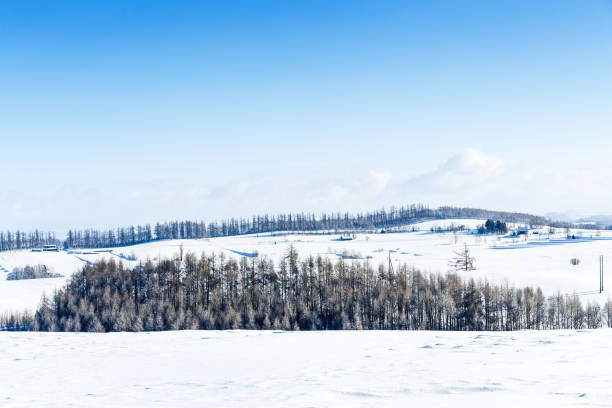 istock Snowy Hills and Birch Trees in Biei 1126132791