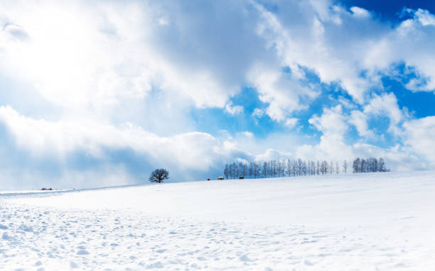 istock Snowy Hills and Birch Trees in Biei 1126133100