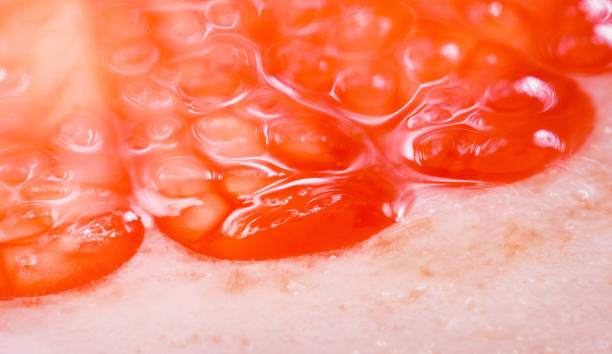 grapefruit close - up macro