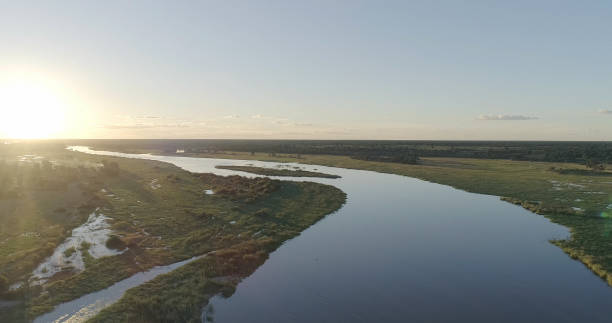 istock Okavango river. Drone point of view. 1126135422