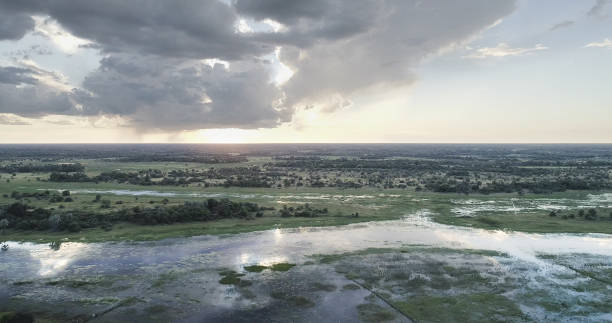 istock Okavango river delta. Drone point of view. 1126135722