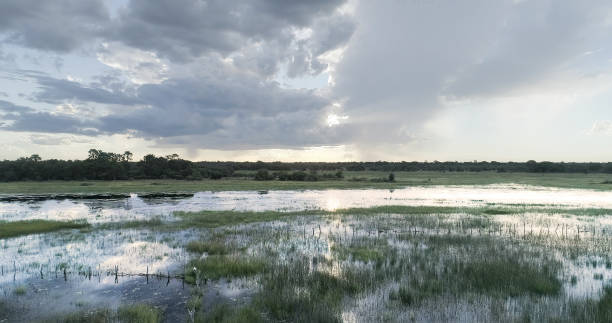 istock Okavango river delta. Drone point of view. 1126135796