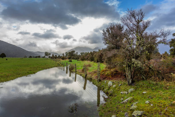Rural land near the Lake Matheson visitor centre, New Zealand.