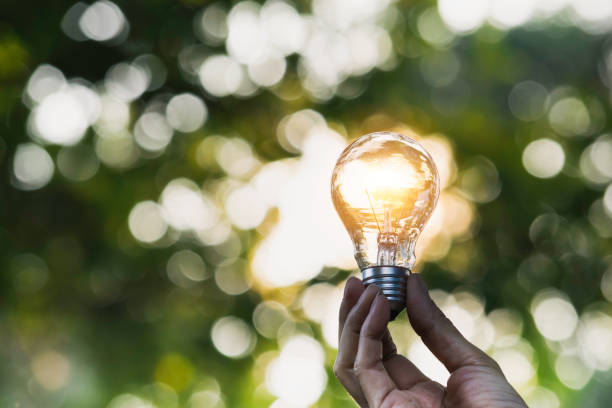istock Hand holding light bulb in nature on green background for energy concept. 1126136745