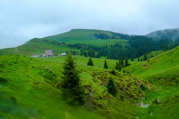 paisagem de montanha na nuvem e névoa bonita bucegi roménia - hill grindelwald village landscape - fotografias e filmes do acervo