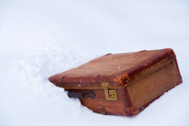 stara skórzana brązowa walizka na śniegu - trunk luggage old fashioned retro revival zdjęcia i obrazy z banku zdjęć